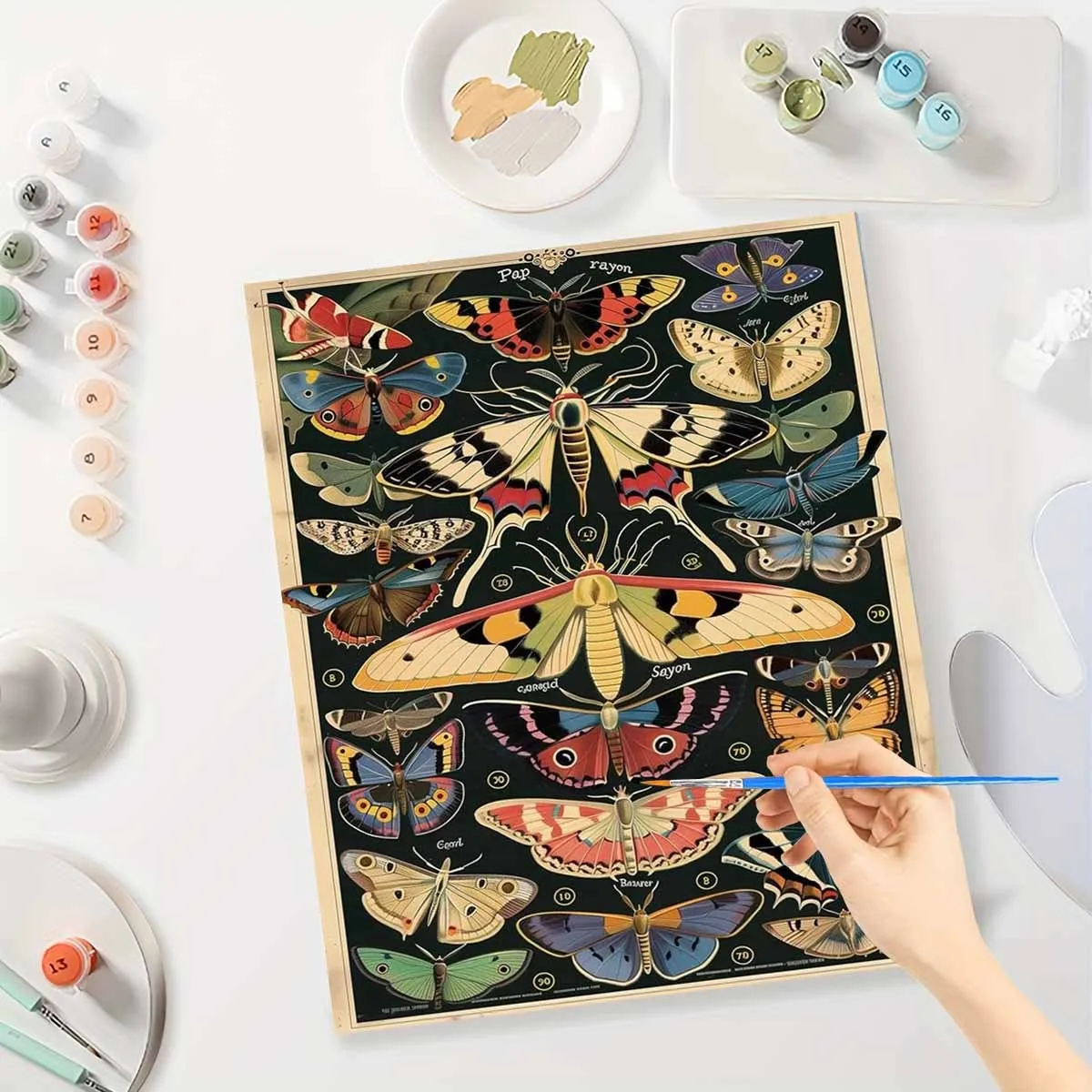 Professional Art Use Paint by Number Kits for Adults - Beautiful Butterflies on Canvas, Beginner Friendly Canvas Without Frames