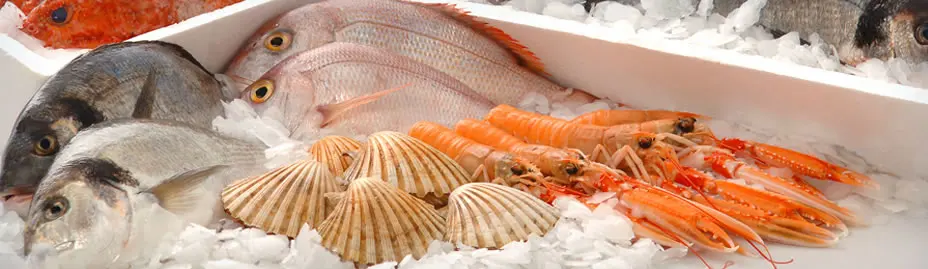 ماكينة صنع الثلج التجارية الخاصة عالية الأداء بوزن 500 كجم #6