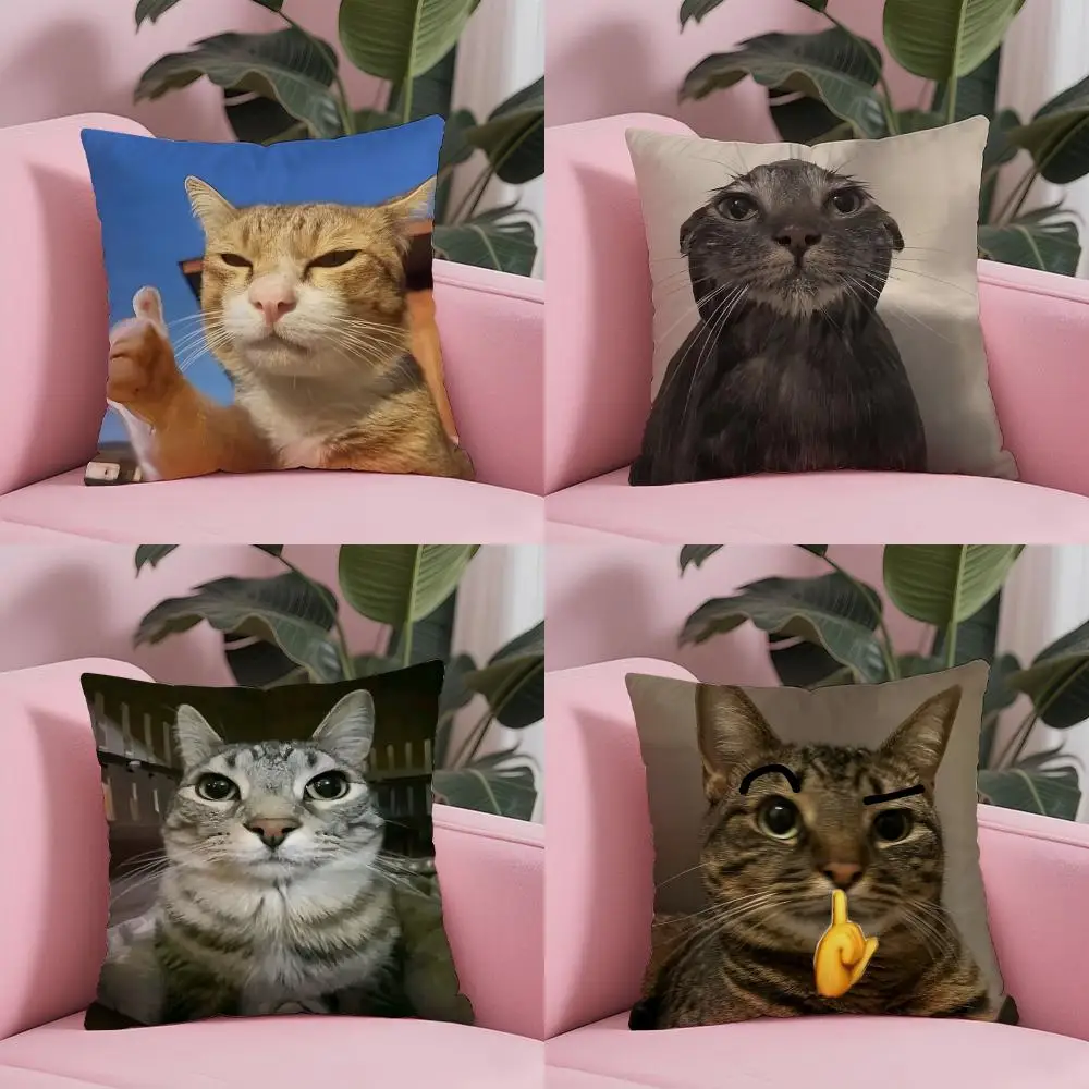 Pet Cat Funny Memes Cushion Cover Sofa Cushion Cover Personalized Gift Living Room Home Decor Pillow