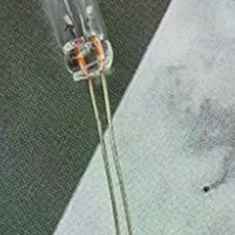 25PCS 5mm 4mm 3mm Clear 12V Mini Bulb of Wheat Rice Bulbs Switch Button Bulbs Indicator Bulb Tungsten Lamp Accessories