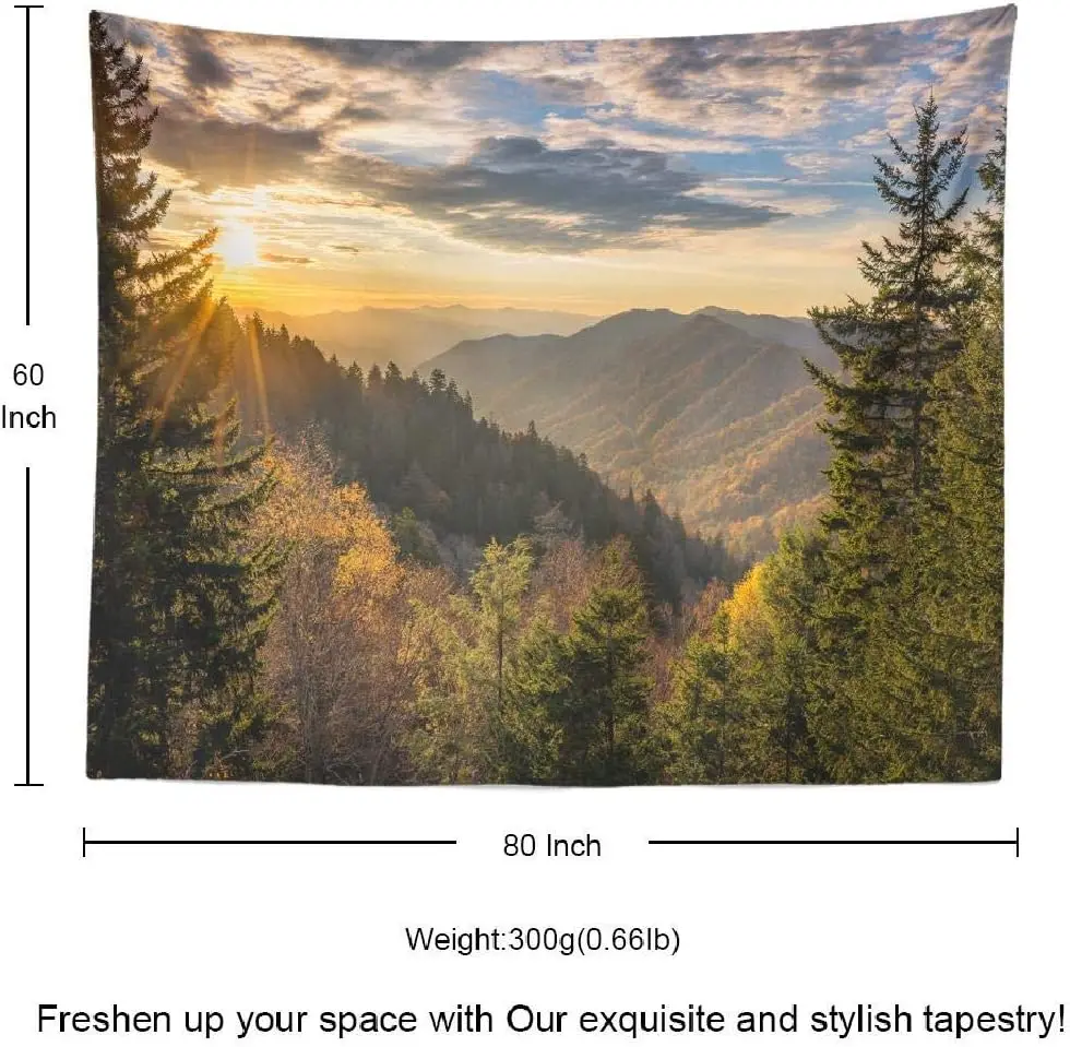 شروق الشمس في الخريف، جبال كبيرة، تينيسي، غابة كبيرة، شروق الشمس الوطني، البلد الشمالي، البرية، نسيج مزخرف #6