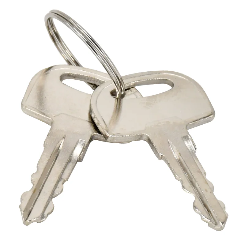 2 Pcs Ignition Keys 45501 105-1790 Compatible With Ditch Witch Models 410SX AT60 FX50 FX60 JT9 JT20 JT60 MR90 RT45 RT80