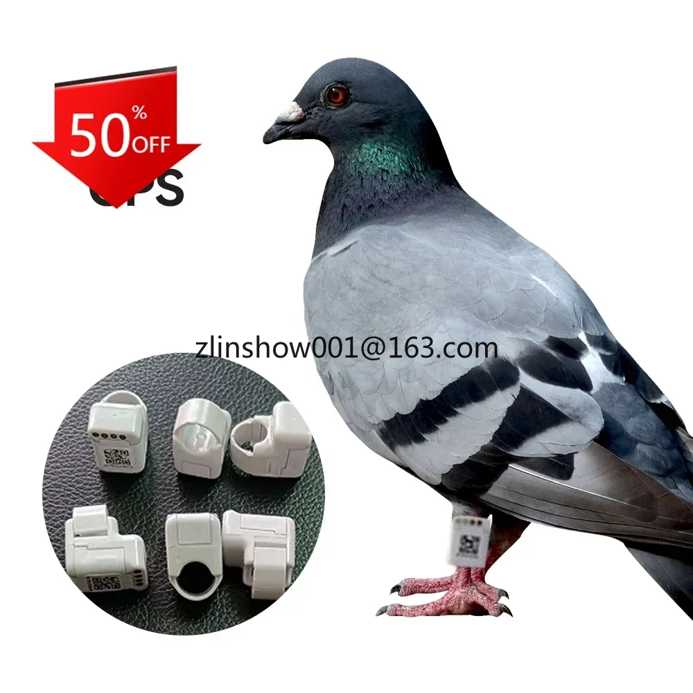 Pigeon GPS Positioning Tracking Device