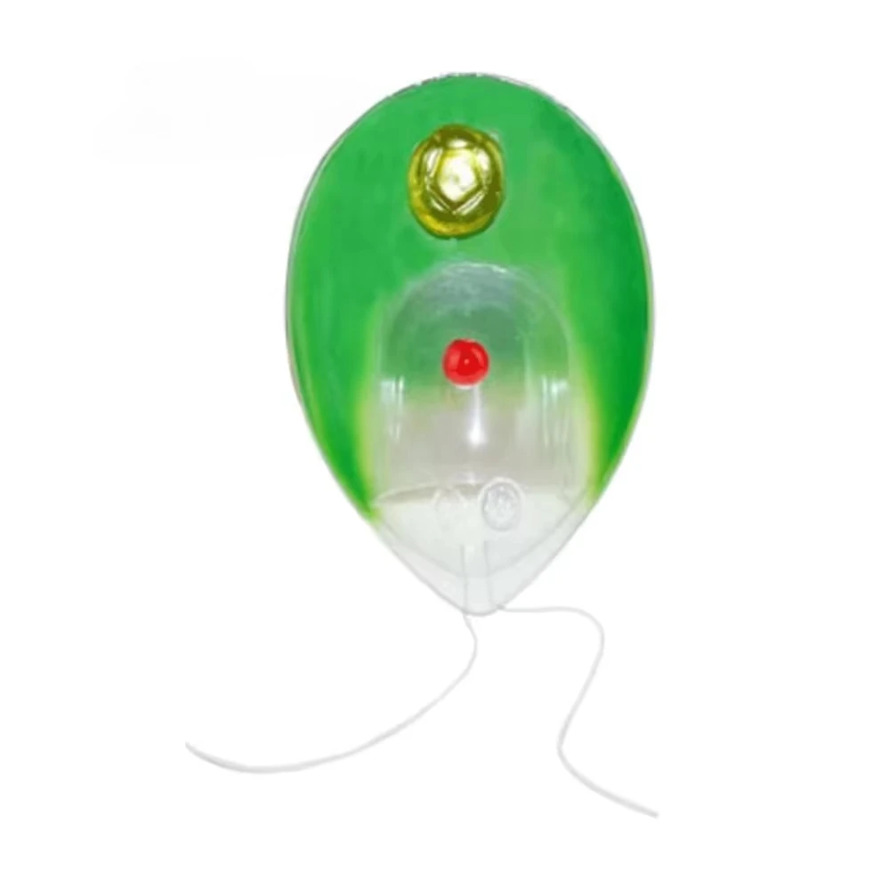 Mycoplasma model Single-cell green plant anatomy model