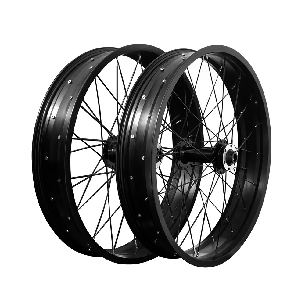 

Bicycle Wheel Aluminum Alloy Front Wheel 20 x 4.0 36 Spokes Wide Tire Bicycle For Fat Bikes Snow Bikes