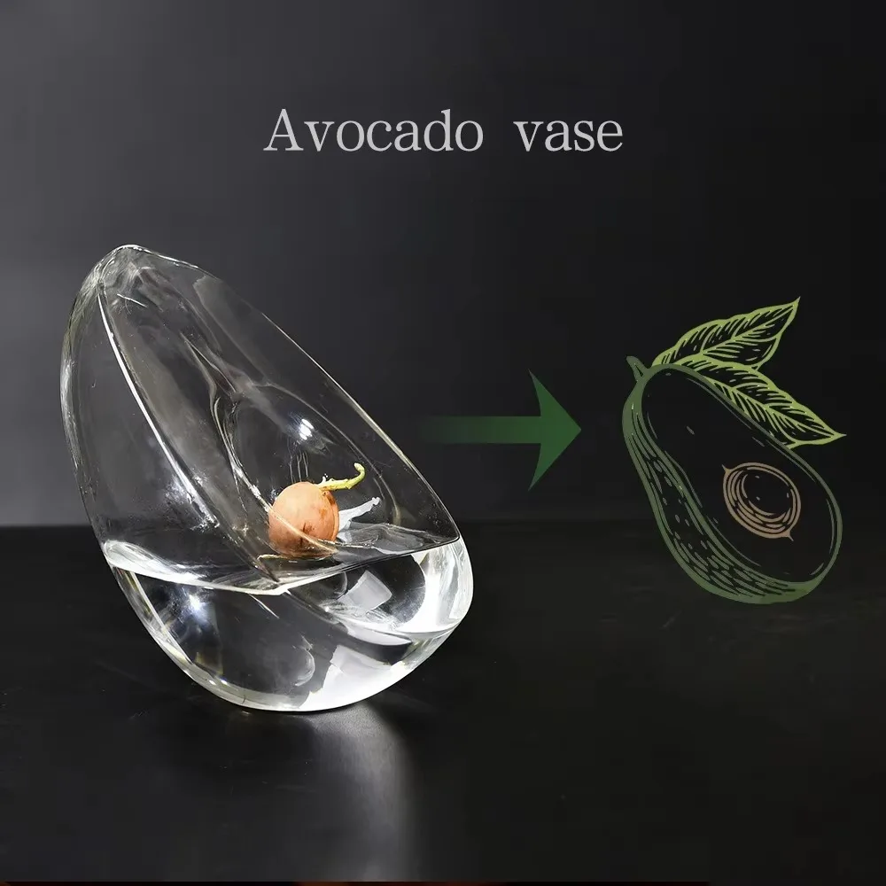Avocado Glass Propagation Vase Hydroponic Plant Growing Container Stylish Botanical Home Decor Seed Starter Tabletop Display