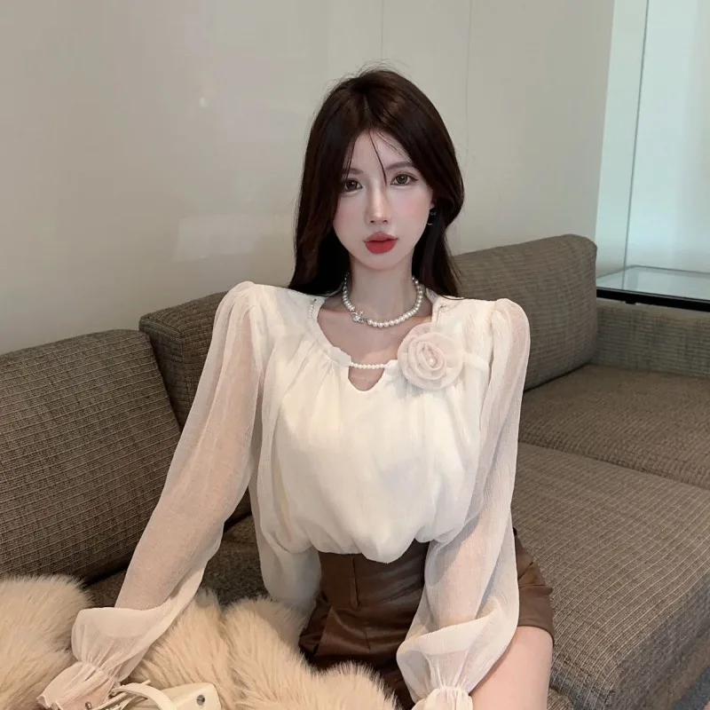 

French Court Style Women's Long Sleeve Shirt Spring Autumn Elegant Anti-Aging Fashionable Chiffon Outerwear Top TT1504