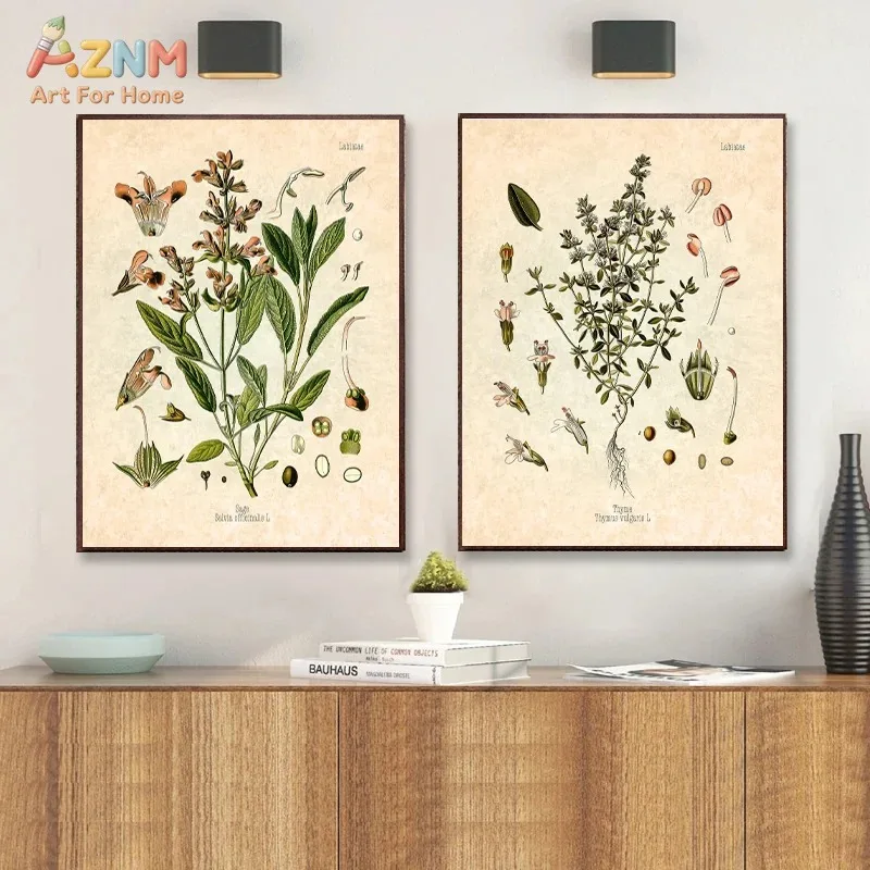 Spices Herbs Print Vintage Botanical Poster Parsley Sage Rosemary Thyme Culinary Wall Art Picture Canvas Painting Kitchen Decor