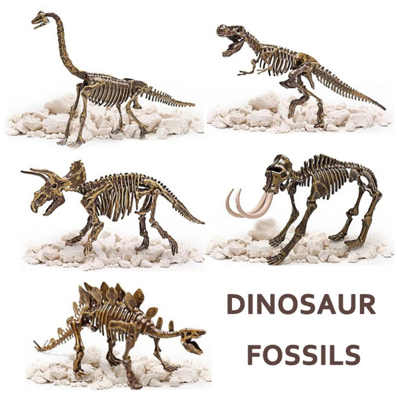 Dinosaur Fossil Excavation Kits Education Archeology Exquisite Jurassic Toy Set Game Action Children Figure Skeleton Model Gift