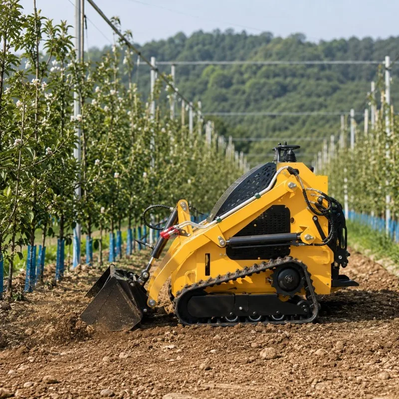 Euro5 EPA CE Operator Standing Platform Compact Track Loader Smart Design Customized Road Repair Debris Loading