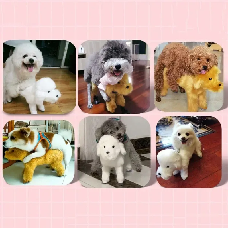 Brinquedo de acasalamento de cachorro masculino, parceiro sexual de ventilação, suprimentos para animais de estimação, autônomo, boneca inflável, suprimentos para animais de estimação, namorada