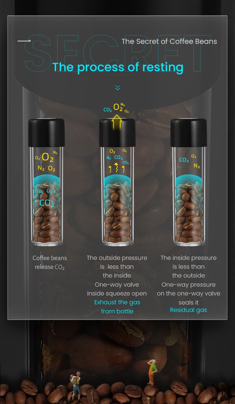 MHW-3BOMBER Coffee Bean Cellars Tubes Single Dose Coffee Bean Storage with 8 Tubes with Exhaust Valve Shelf & Funnel Cafe Tools