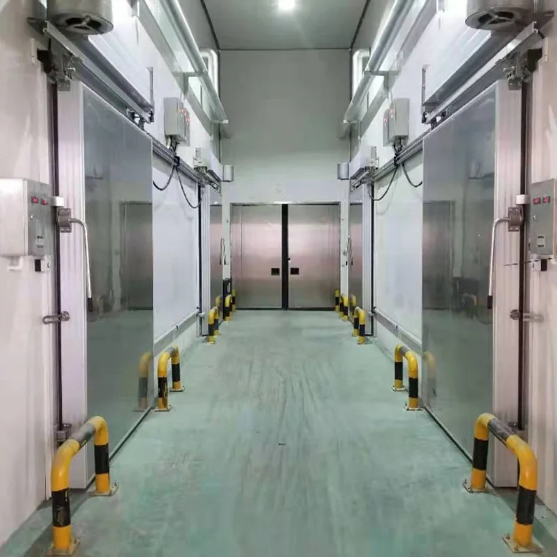 Cold Storage Project Industrial Freezer Room Container Walk in Refrigeration Unit Low Temperature Logistics Cold Storage
