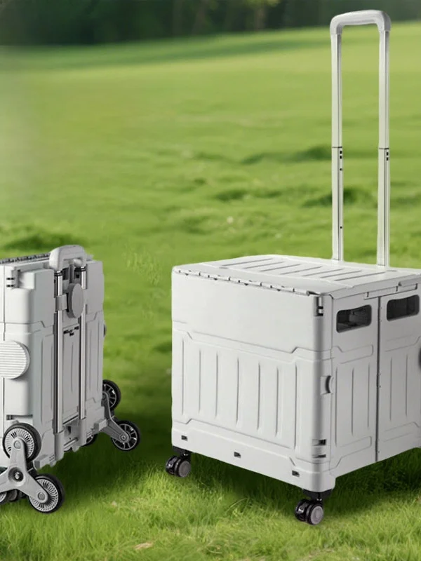 carrello-portatile-da-esterno-con-manico-telescopico-carrello-per-la-spesa-di-verdure-uso-domestico-carrello-da-mercato-carrello-rimorchiabile-cesto-pieghevole-per-la-conservazione