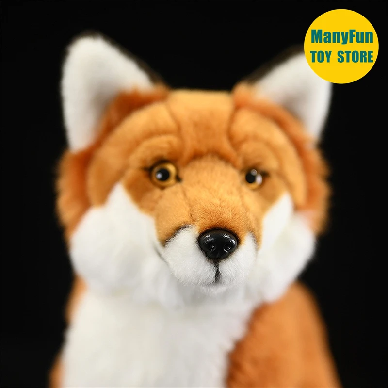 Juguete de peluche de zorro rojo realista: animal relleno de Vulpe realista, regalo de peluche de zorro rojo para amantes de la naturaleza