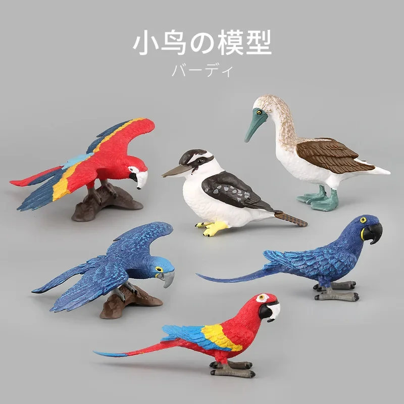 Simulated animal model toy bird macaw doll ornament plastic animal toy sand table model