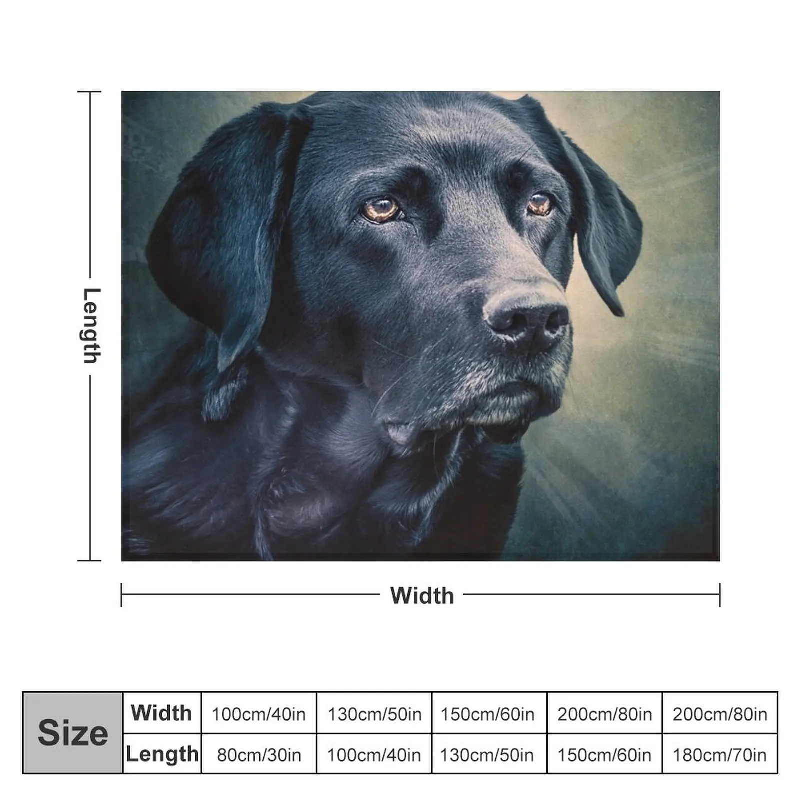 Black Velvet - Labrador Throw Blanket Fashion Sofas Decorative Sofa manga for sofa Blankets