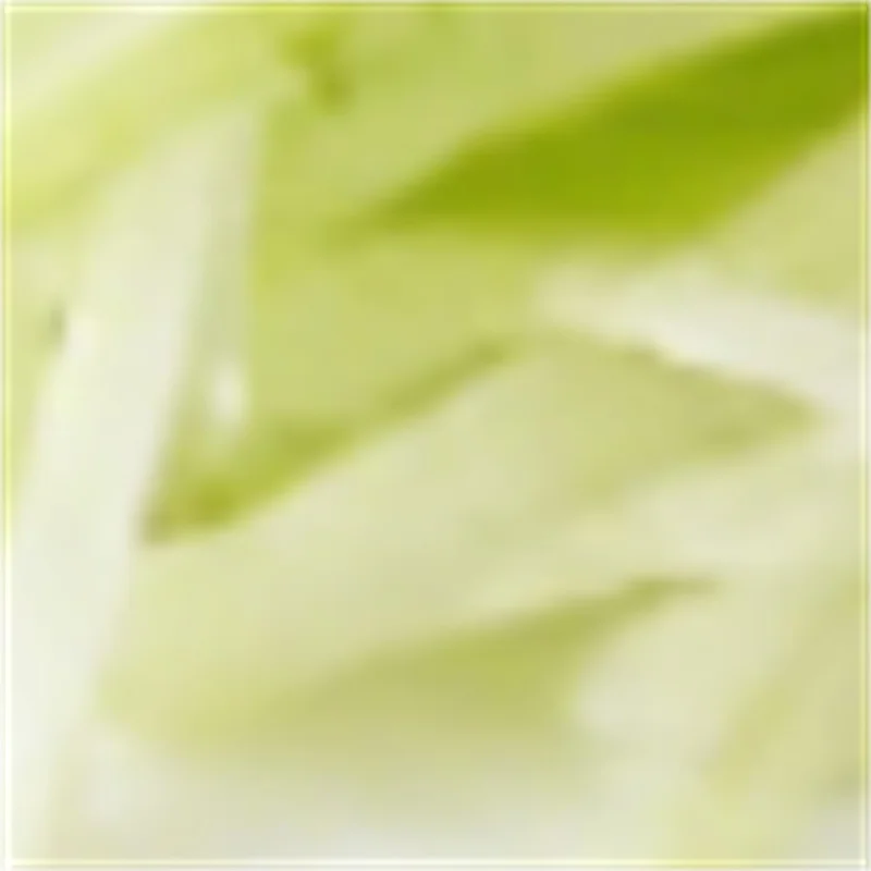 Kitchen Green Pepper Cutter Shredder Stainless Steel Green Onion Shredder Slicing Machine for Restaurant