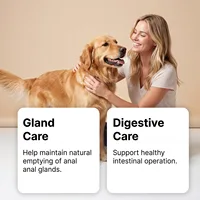 Joint Support Soft Chews Hip Care Supplement for Senior Dogs Mobility Health Relief Mild Formula Nutritional Dog Treats 6
