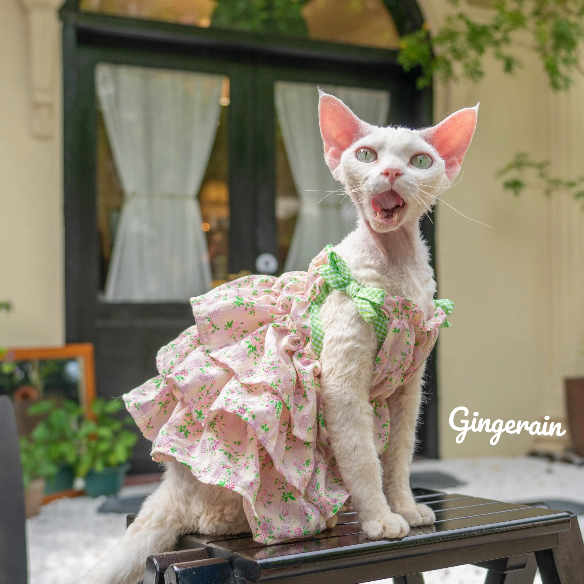 

Handmade Sphynx Cat Cake Dress Lace Floral Bowknot Pink Skirt For kittens Hairless Cat Clothes Devon Rex Party Wedding Skirt