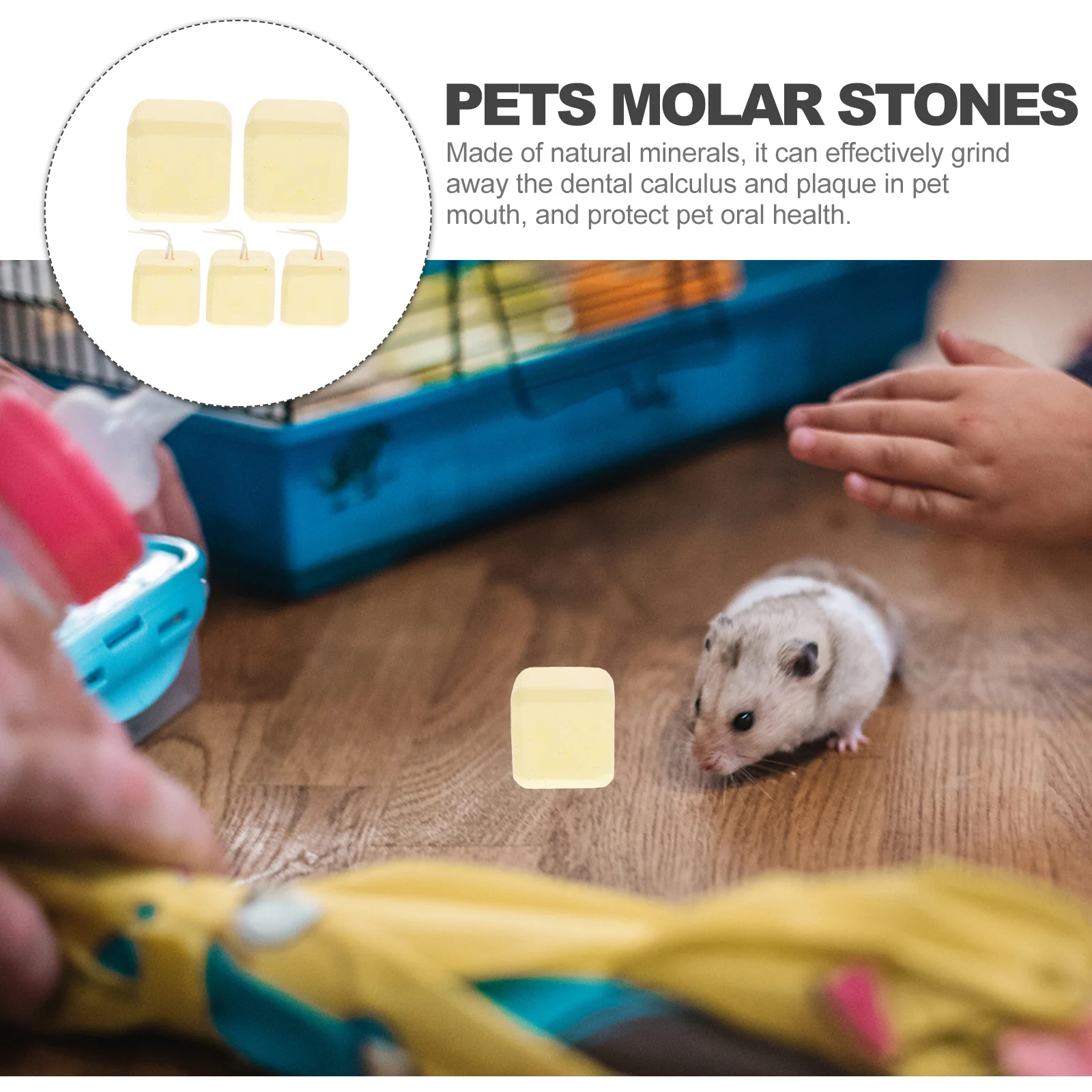 

5Pcs Natural Pet Molar Stones Hamster Chinchilla Rabbit Teeth Grinding Health Care Bright Colors Small Animals