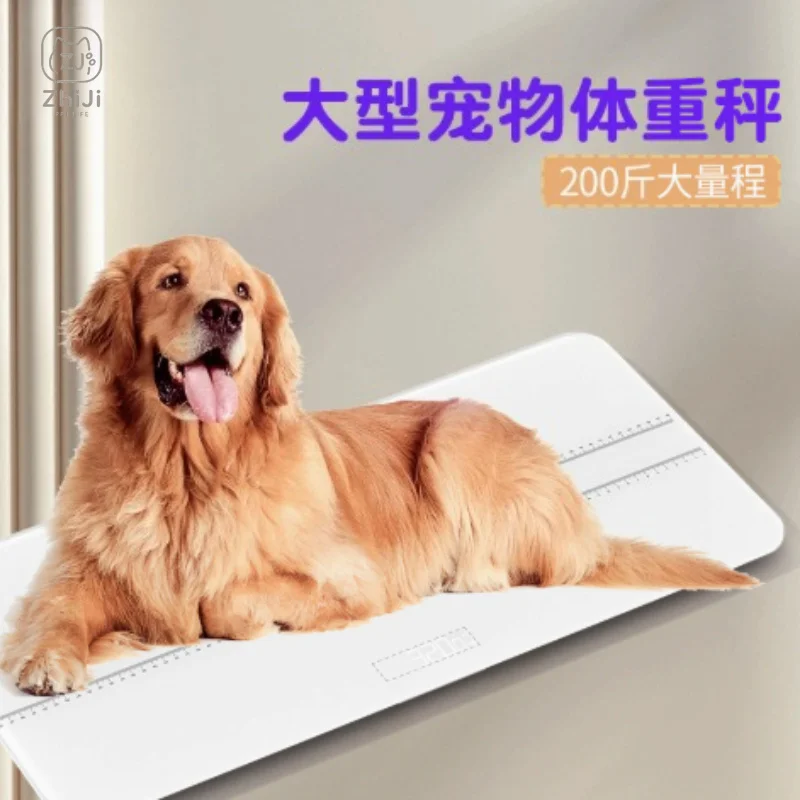 Balance numérique vétérinaire professionnelle 100 kg, grande balance pour chiens, affichage LED, plateforme en verre trempé pour clinique vétérinaire