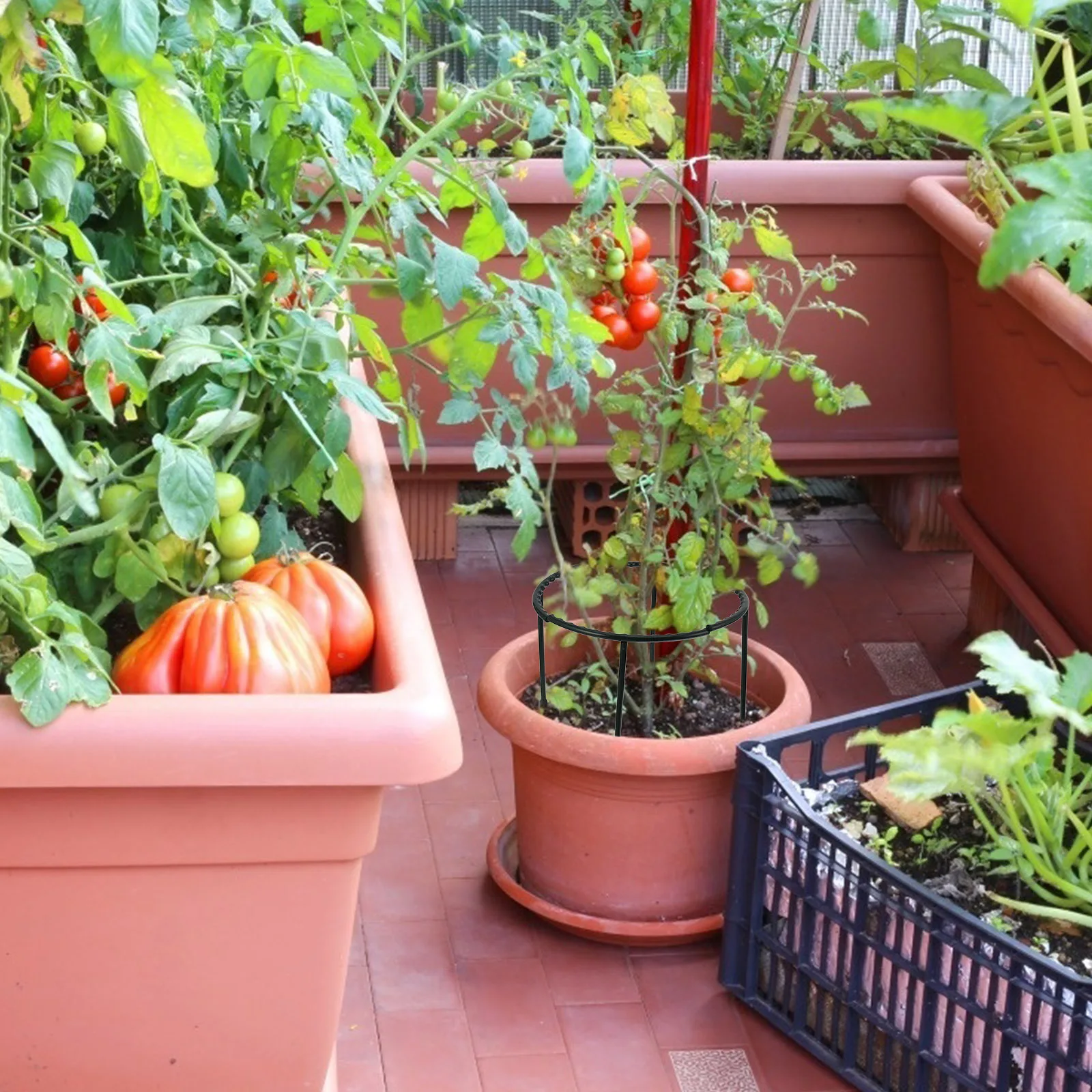 

2 Sets Plastic Plant Trellis Lightweight Easy Install Tomatoes Beans Cucumbers Various Bamboo Canes Garden Tools Flower Vine
