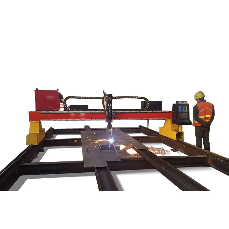 Support ization Cutting Stainless Steel Plates CNC Plasma Cutting Machine for Sheet Metal Gantry Plasma Cutters