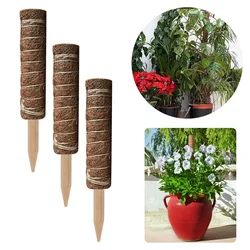Plants Support Moss Pole Palm Vines Stick Climbing Plants Stand Holder Indoor Creepers 30/40/50Cm Tutors For Plants