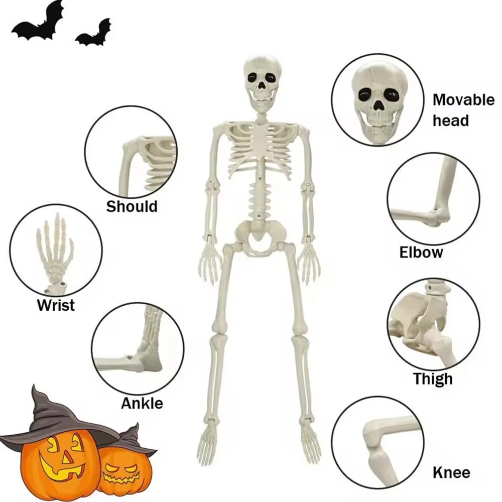 Ossa del corpo realistiche di Halloween Giunti mobili/posibili Simulazione Ornamento del cranio Tema del festival Decorazioni per feste a casa a grandezza naturale