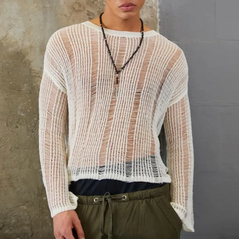 Autumn Elastic Hollow Slightly Transparent Sweater Men's Long Sleeved Loose and Versatile Knitted Sweater