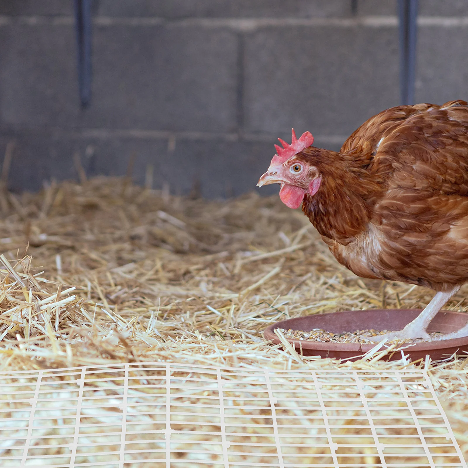 

Chicken Duck Cage Mat Plastic Hollow Nesting Pad Non-Slip Durable Floor Mat for Poultry Foot Protection and Cleaning
