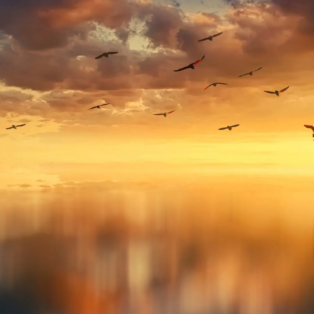 

Multimedia Receiver Android Player For Toyota Alphard Vellfire 2015-2019/2020-2021Head Unit Snapdragon665 Touch Screen Radio GPS