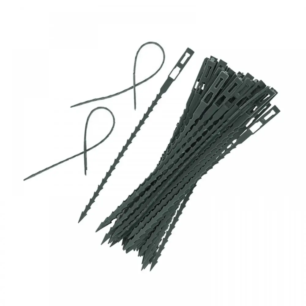 

Plastic Reusable Garden Tool 50Pcs Landscape Fishbone Spur Plant Belt Band Ties Garden Tools