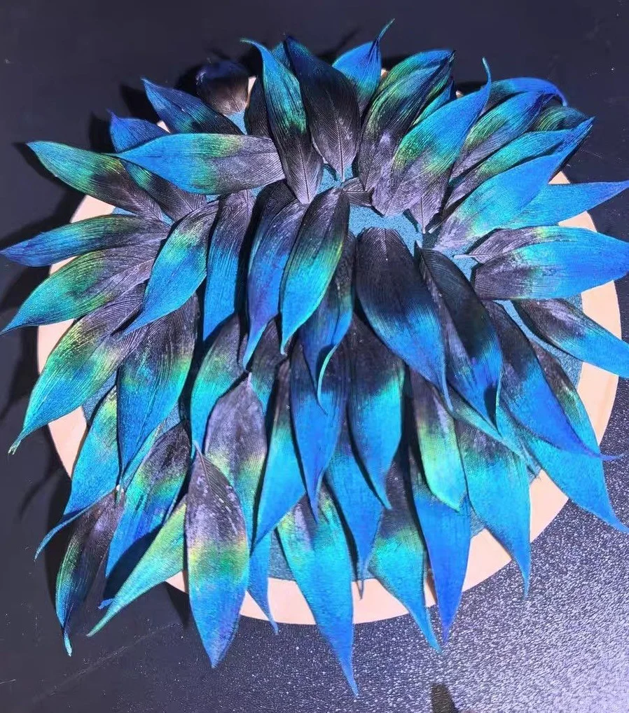 

50Pc Beautiful Shinly Blue Peacock Feathers Starching Peacock Feathers Brushed with Glue,Feathers used for the Kingfisher Craft