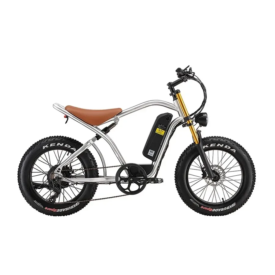 

20 Inch Fat Tire 750W 48V 16AH 25AH Lithium Battery Aluminum Alloy EBike Cafe Racer Vintage Fatbike Off Road Electric Bike Retro