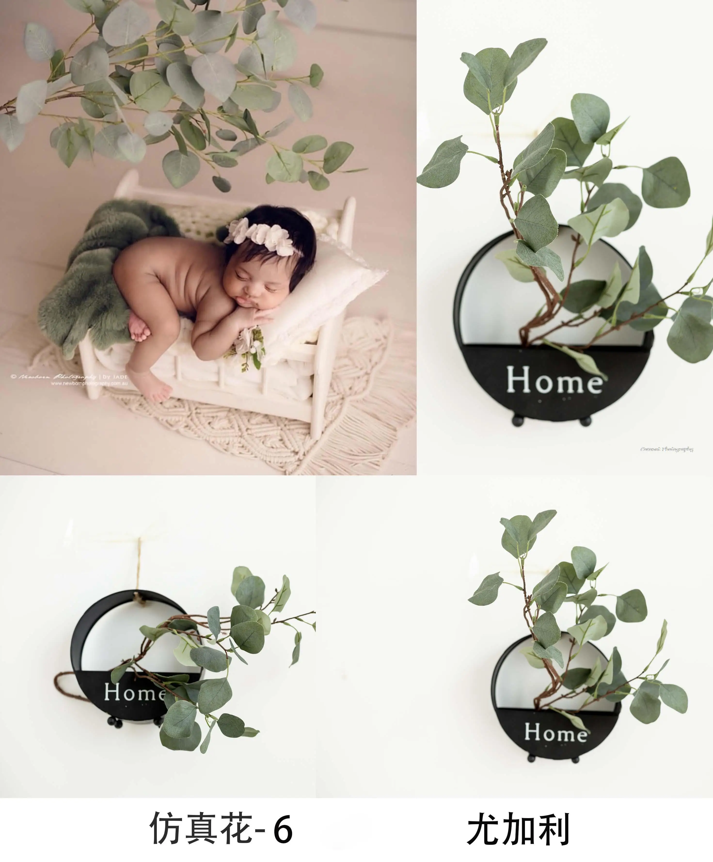 Coconut newborn photography props Simulation flower eucalyptus lobular hydrangea rabbit ear leaf eucalyptus fruit millet flower