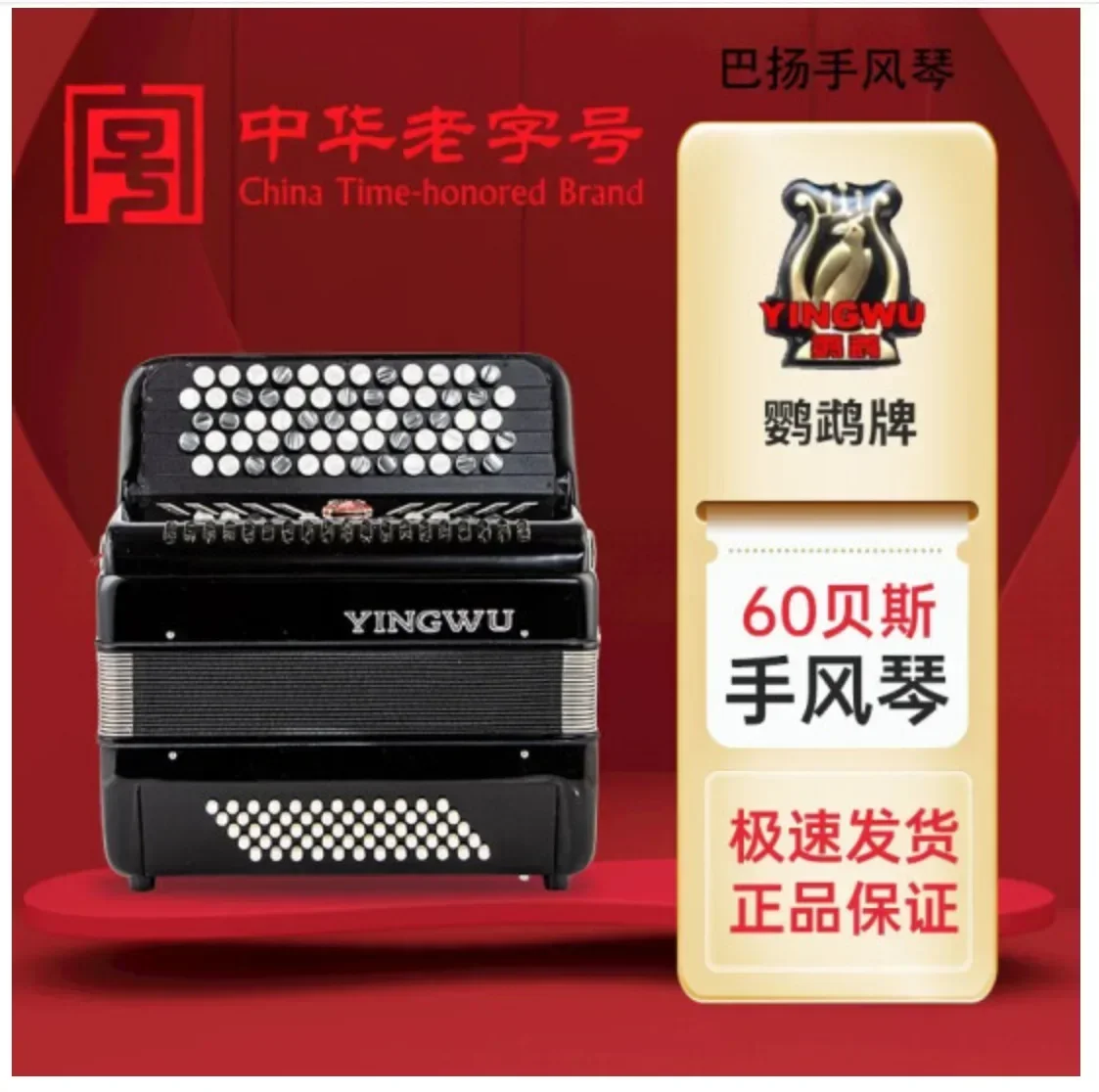 Accordion 60/96 Bass Button Type Beginner Test Adult