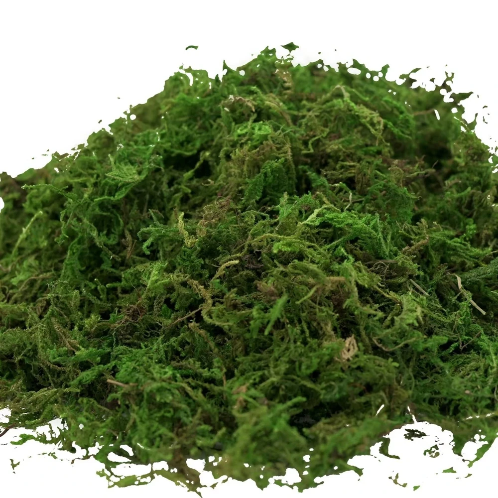 50/100g Fake Moss Artificial Green Moss for Potted Plants Fairy Garden Accessories