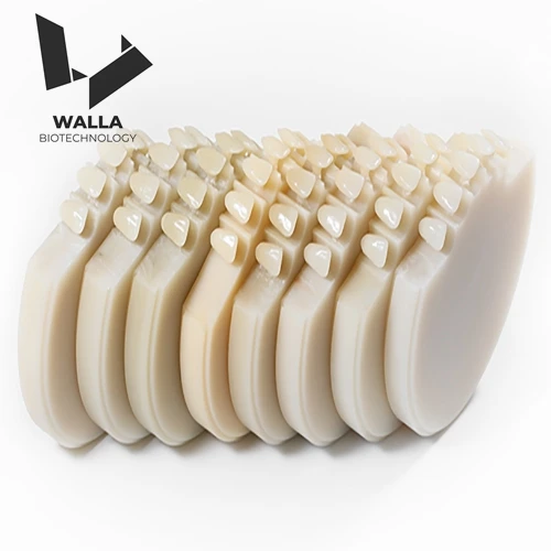 PMMA Multilayer 20mm 98mm Dental Cad Cam PMMA Blocks Lab Supplies Dentures Materials