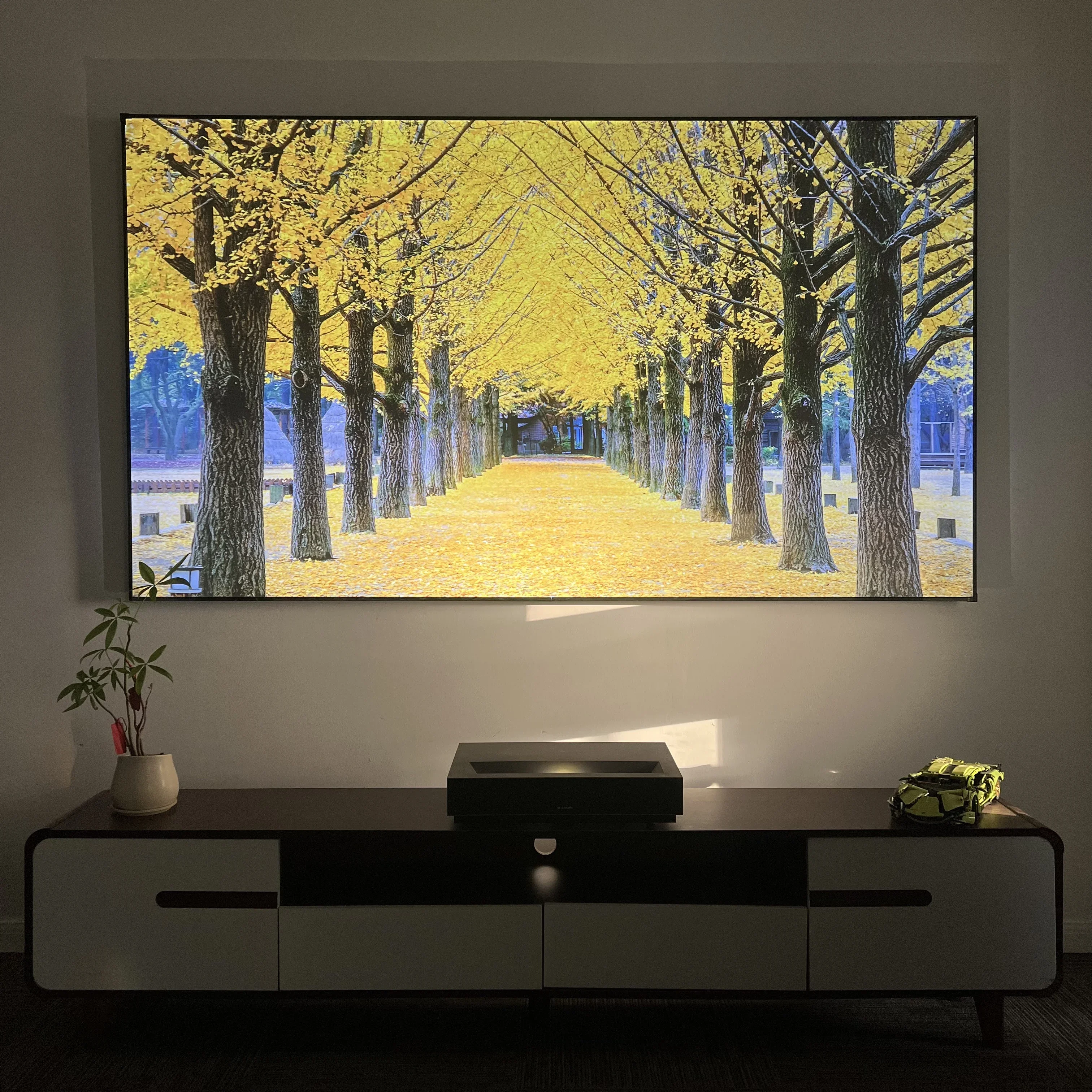 2025 Fresnel 5.0 Pro ALR UST Projection Screen Fixed Frame Ambient Light Rejecting Best for Ultra Short Throw Projector 4K 8K 3D