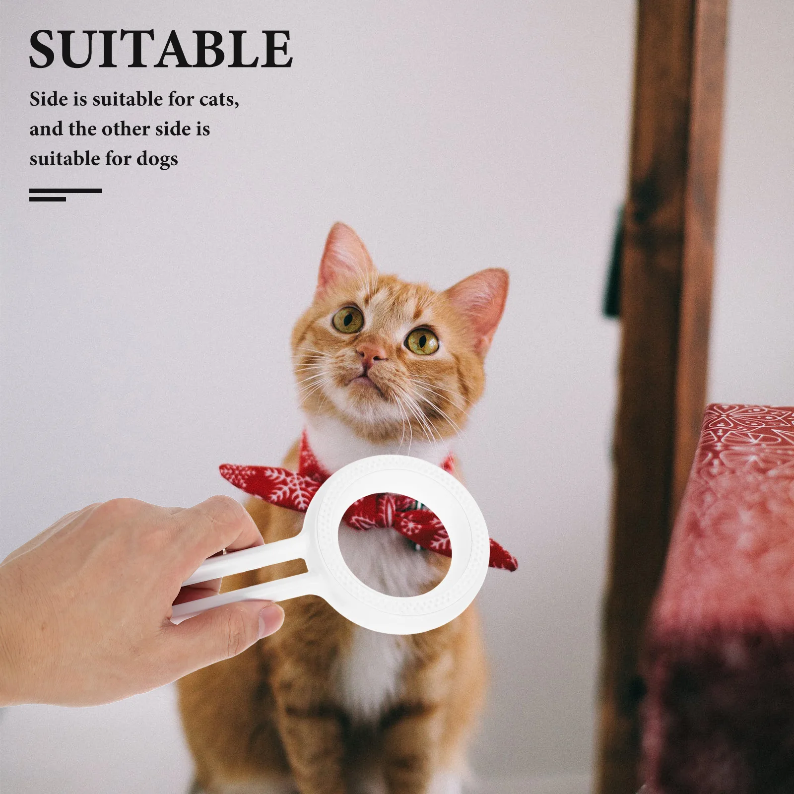 

Cats Dog Hair Removal Brush Multifunctional Pet Grooming Deshedding Tool Small Animal Brushes Comfortable Handle Easy ABS