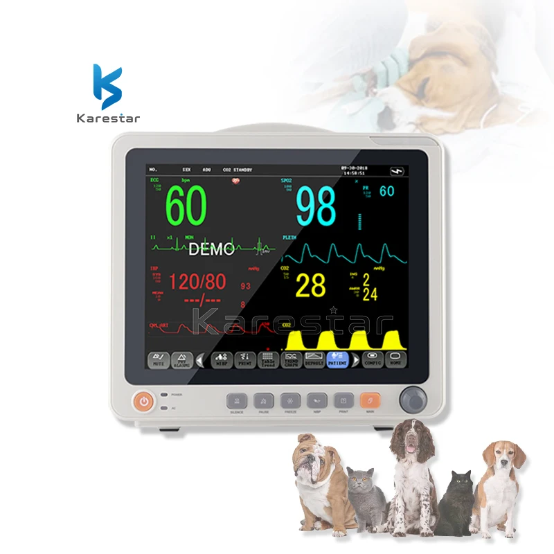 

Veterinary Medical Equipment touch screen 12 inch Animal veterinaryPhysical examination equipment