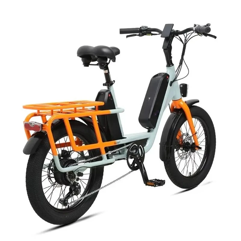 Good stuff Unique Design Dual Lithium Battery 20 Alloy Frame Electric Delivery Cargo Bike with Brushless 48V/250W Rear Motor