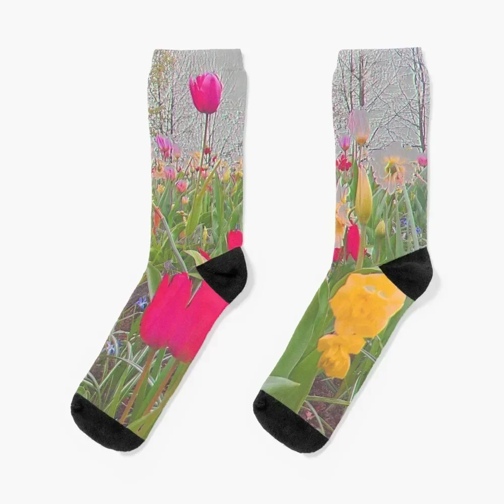 Field of Tulips Socks hip hop happy Women Socks Men's