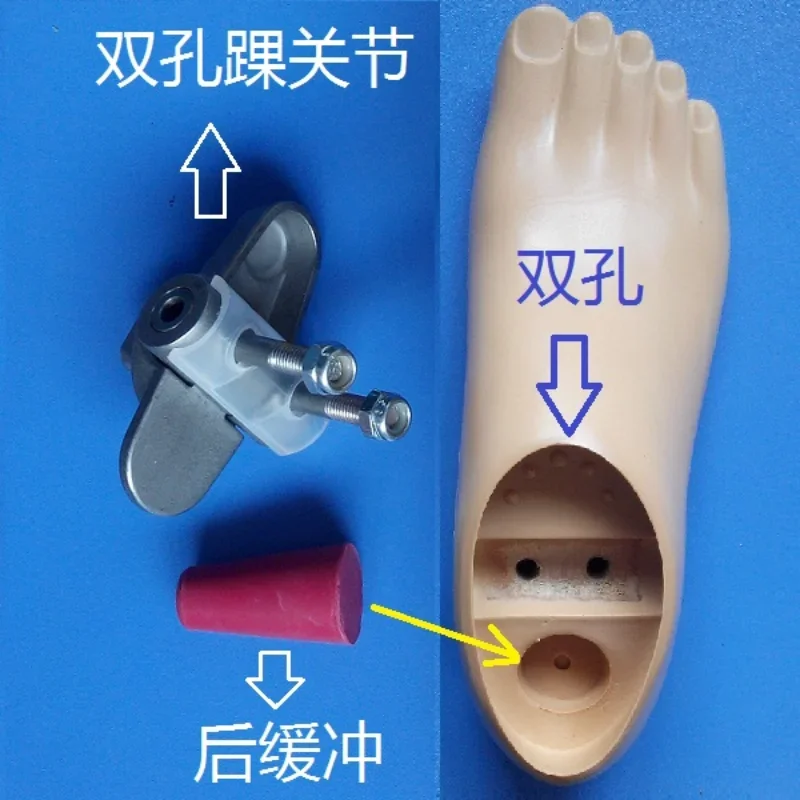 

Double-hole movable, bolt, ankle joint for prosthesis, column joint, movable joint, e branch of foot