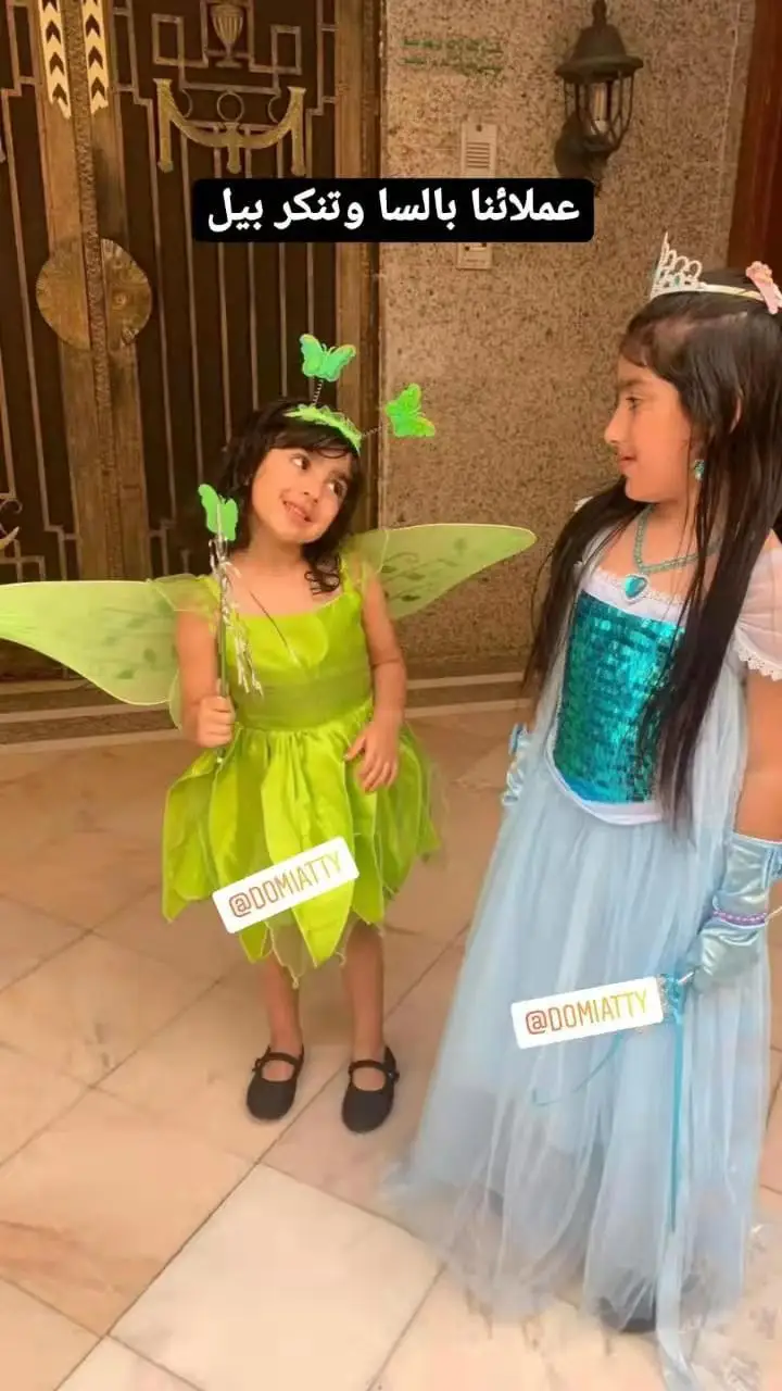 Girls Flower Fairy Dress Up Kids Princess Dress With Wings Halloween Purim Princess Costume Elves Tinkerbell Tinker Bell Dress