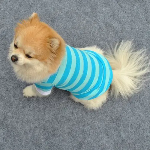 

Classic Striped Pet Polo Shirt Korean Style Summer Dog T-Shirt with Collar for Poodles Pomeranians Cats Clothes
