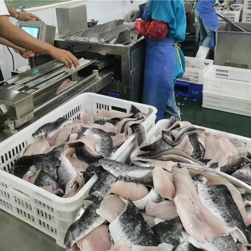 Custom High-efficiency Smart Electronic NC Oblique Fish Fillet Cutter, Seafood Cutting Machine for Food Processing