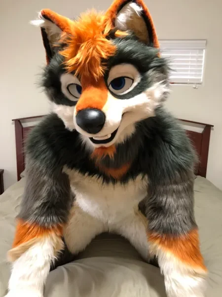 Orange Grey Husky Fox Dog White Fursuit Mascot Costume Customize Cartoon Anime Theme Character Adults Outfit Christmas